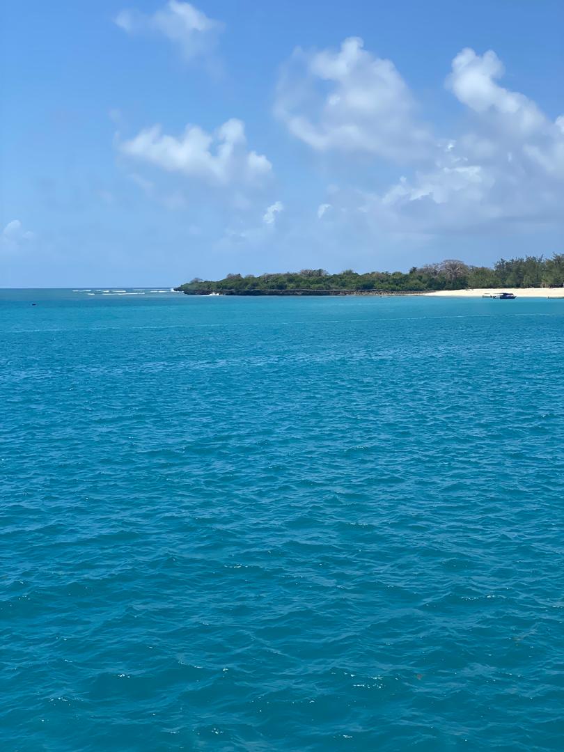 Zanzibar & Mikumi Safari Experience - 5 Days / 4Nights